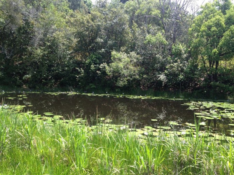 1072 Valla Road, Valla NSW 2448