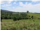 1072 Valla Road, Valla NSW 2448