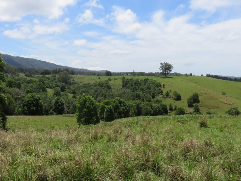 1072 Valla Road, Valla NSW 2448