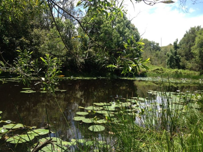 1072 Valla Road, Valla NSW 2448