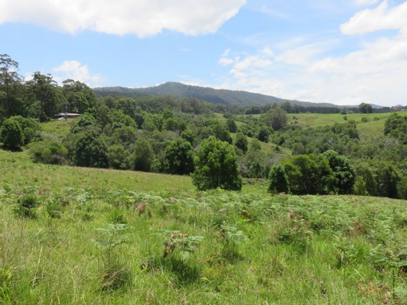 1072 Valla Road, Valla NSW 2448