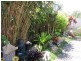 58 Acacia Place, Valla Beach NSW 2448