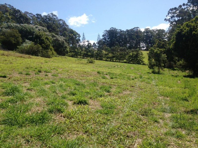 Lot 1 East West Road, Valla NSW 2448