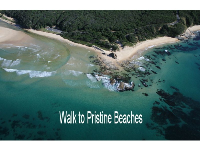 36 Hibiscus Drive, Valla Beach NSW 2448