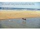 Lot 200 Swordfish Drive, Valla Beach NSW 2448