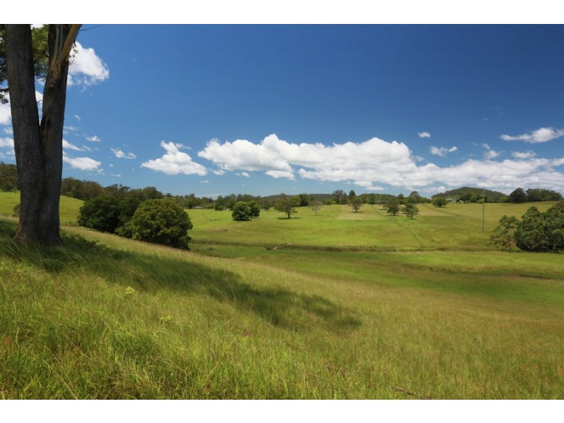 182 Upper Warrell Creek Road, Congarinni NSW 2447