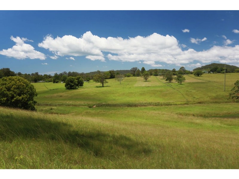 182 Upper Warrell Creek Road, Congarinni NSW 2447