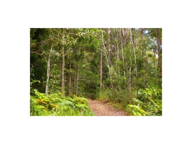 Girralong NSW 2449