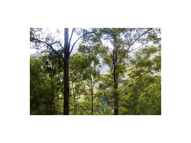 Girralong NSW 2449