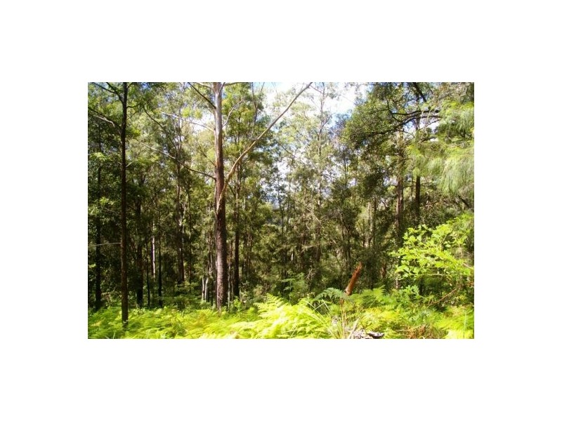 Girralong NSW 2449