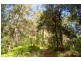 Girralong NSW 2449