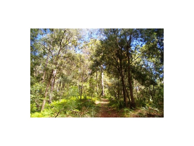 Girralong NSW 2449