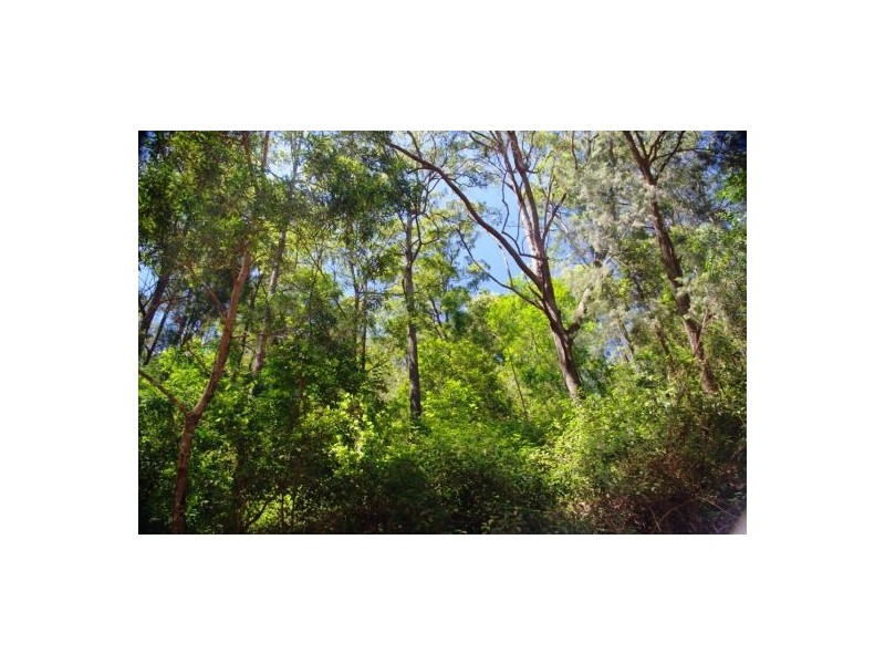 Girralong NSW 2449