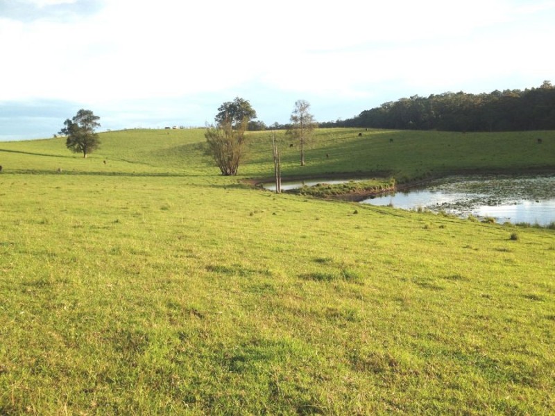 Lot 13 Strawberry Road, Congarinni NSW 2447