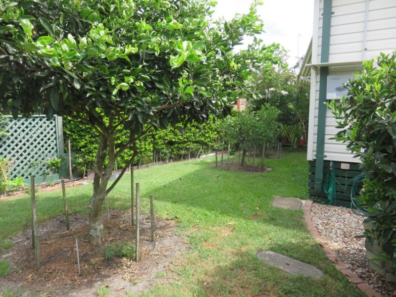 37 Magnolia Drive, Valla Beach NSW 2448