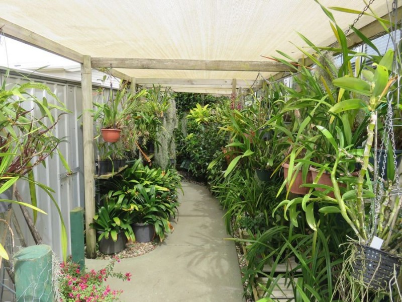 37 Magnolia Drive, Valla Beach NSW 2448