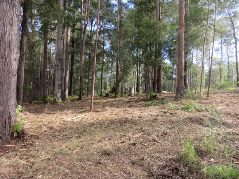 Lot 24 Koala Close, Valla NSW 2448