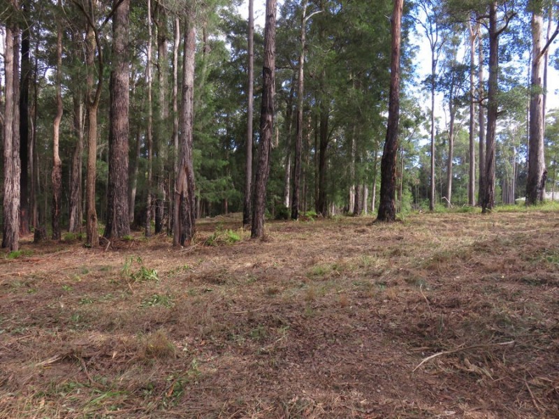 Lot 24 Koala Close, Valla NSW 2448