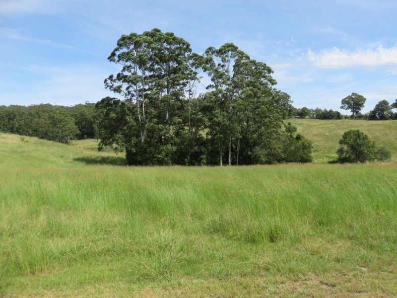 Lot 26 Geoffrey Charles Drive, Congarinni NSW 2447