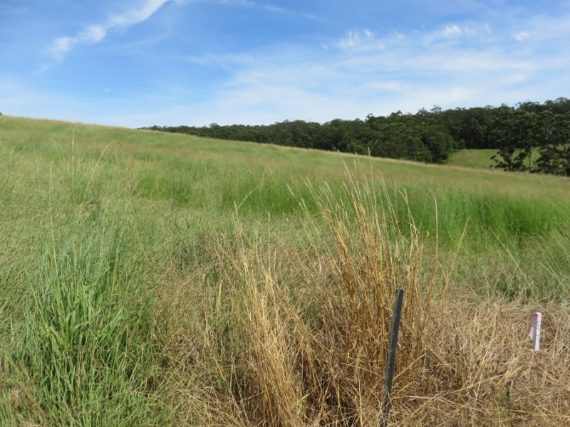 Lot 27 Geoffrey Charles Drive, Congarinni NSW 2447