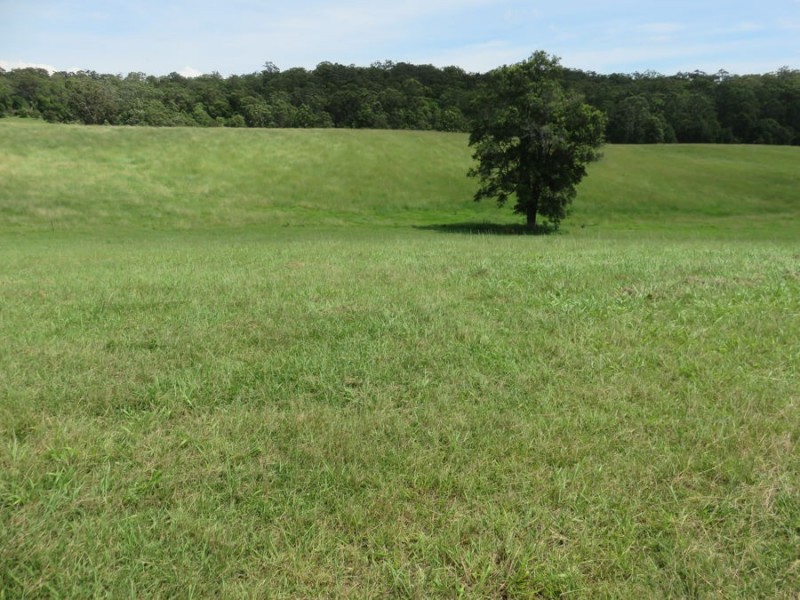 Lot 31 Geoffrey Charles Drive, Congarinni NSW 2447