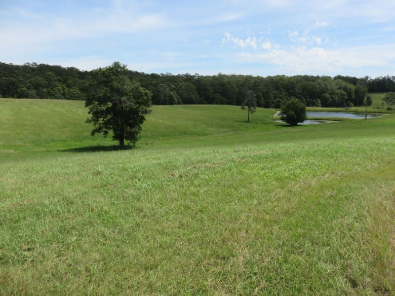 Lot 31 Geoffrey Charles Drive, Congarinni NSW 2447