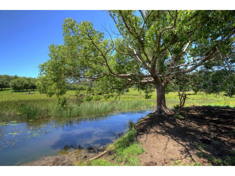 LOT 4 GUMMA ROAD, Gumma NSW 2447
