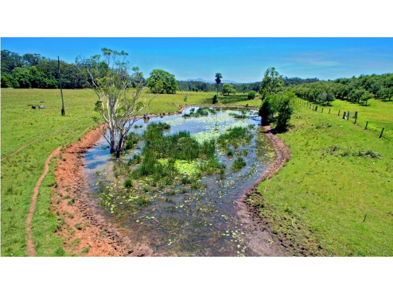 LOT 4 GUMMA ROAD, Gumma NSW 2447