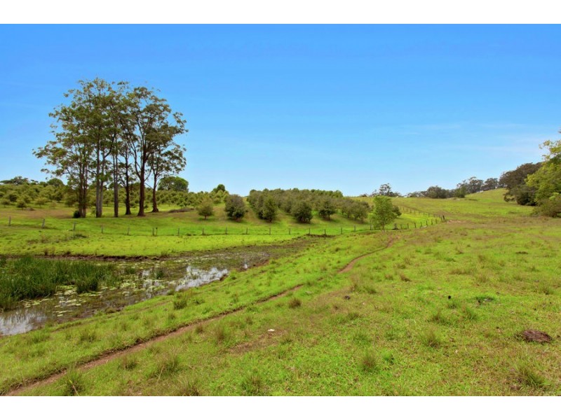 LOT 4 GUMMA ROAD, Gumma NSW 2447
