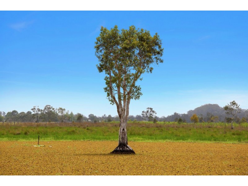 LOT 4 GUMMA ROAD, Gumma NSW 2447