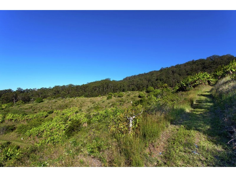 Lot 31 Codys Road, Valla NSW 2448