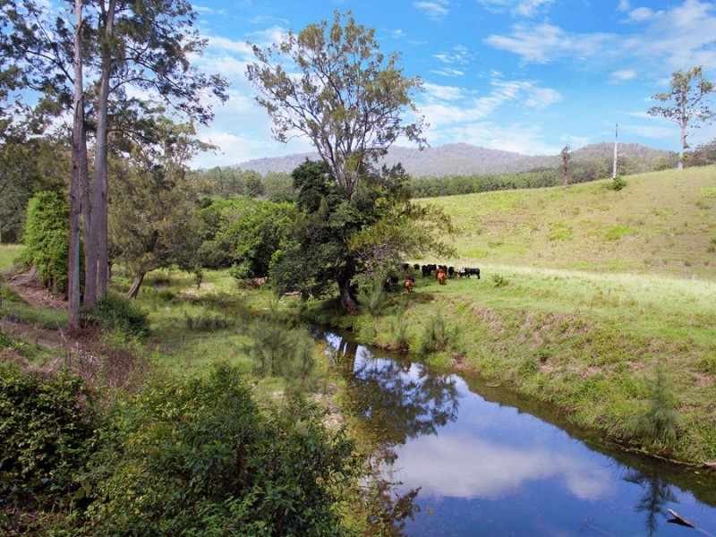 1319 North Arm Road, Argents Hill NSW 2449