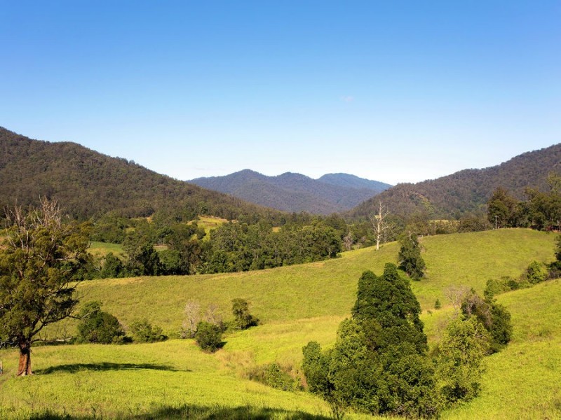 1319 North Arm Road, Argents Hill NSW 2449