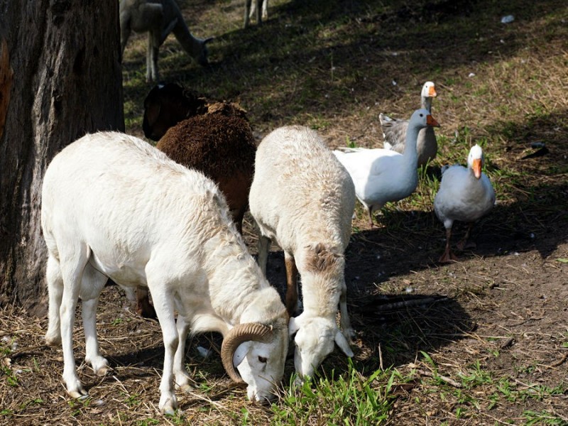 1319 North Arm Road, Argents Hill NSW 2449