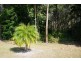 129 Rosewood Drive, Valla Beach NSW 2448