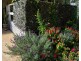 129 Rosewood Drive, Valla Beach NSW 2448