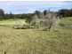 Lot 3 Niks Way, Wirrimbi NSW 2447