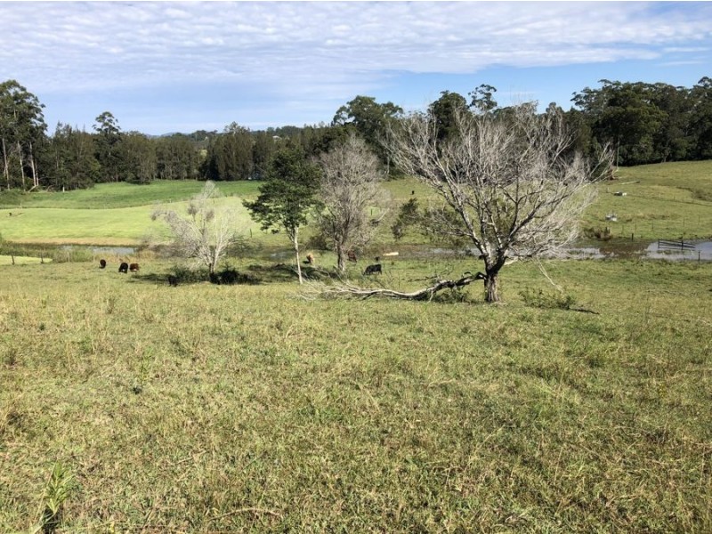 Lot 3 Niks Way, Wirrimbi NSW 2447