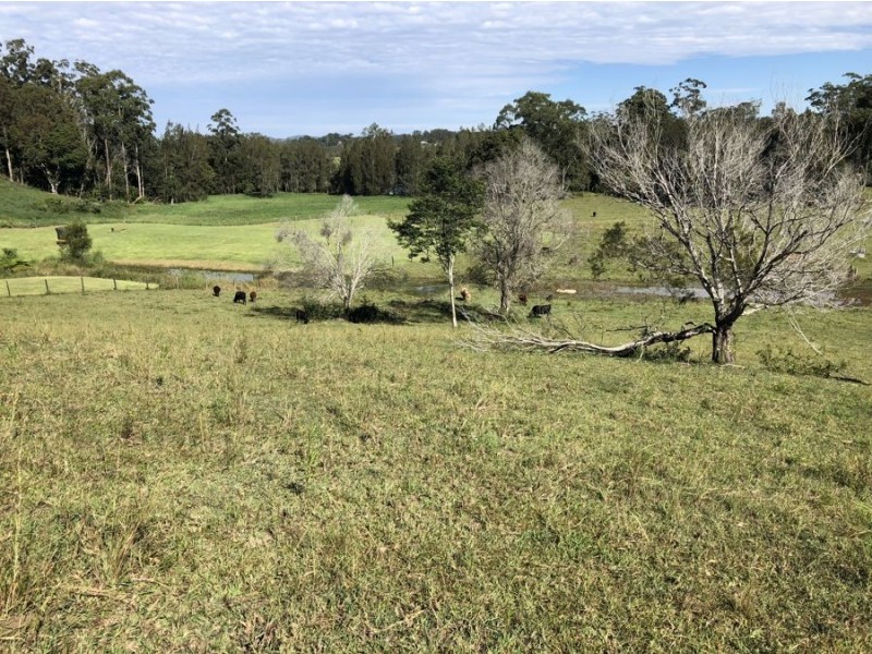 Lot 3 Niks Way, Wirrimbi NSW 2447