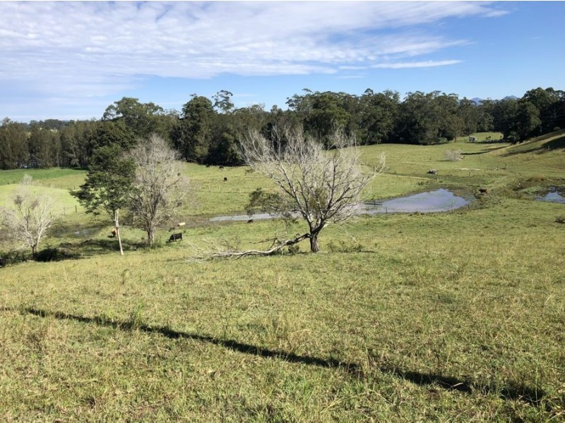 Lot 3 Niks Way, Wirrimbi NSW 2447