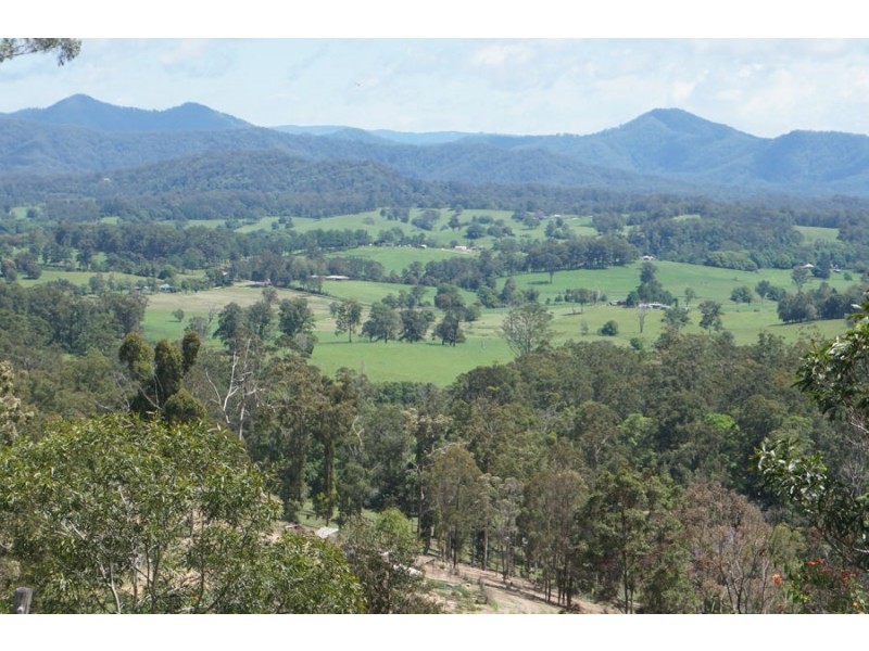 225 South Arm Road, South Arm NSW 2449