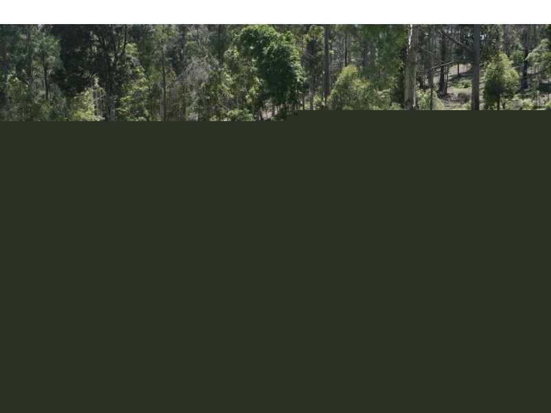 225 South Arm Road, South Arm NSW 2449