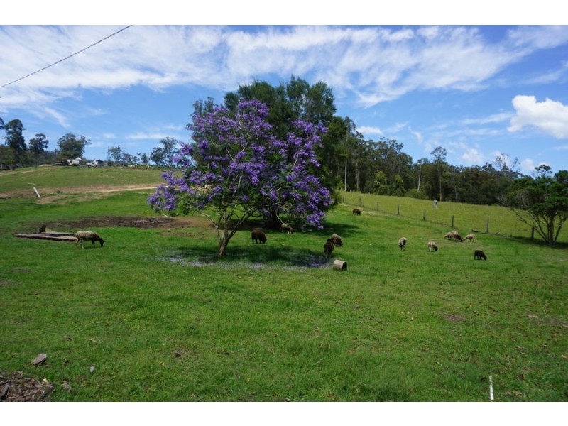 225 South Arm Road, South Arm NSW 2449