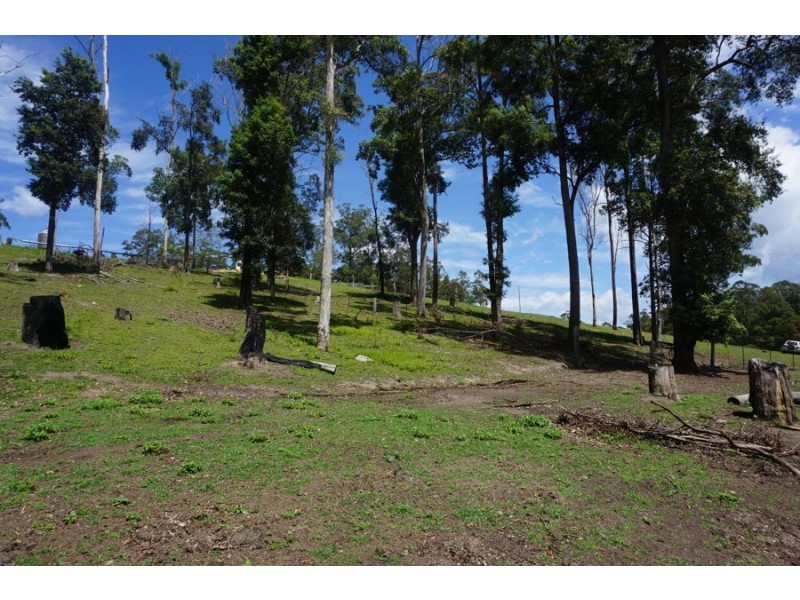 225 South Arm Road, South Arm NSW 2449