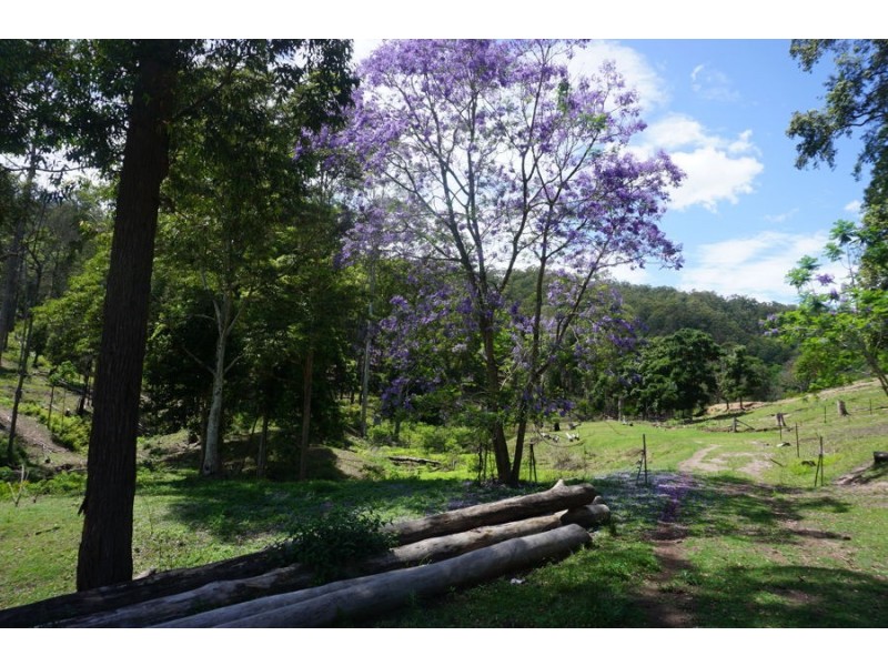 225 South Arm Road, South Arm NSW 2449