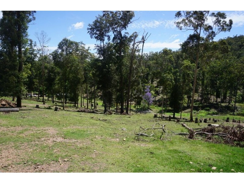225 South Arm Road, South Arm NSW 2449