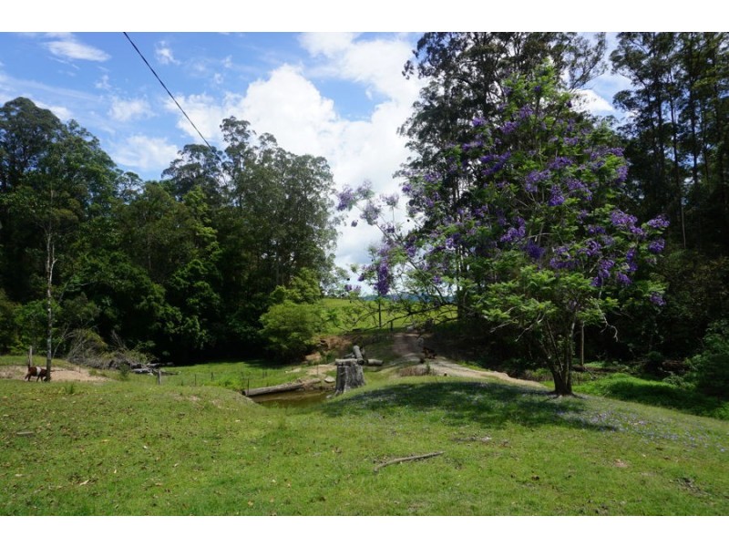 225 South Arm Road, South Arm NSW 2449