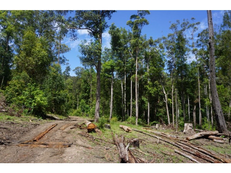 225 South Arm Road, South Arm NSW 2449