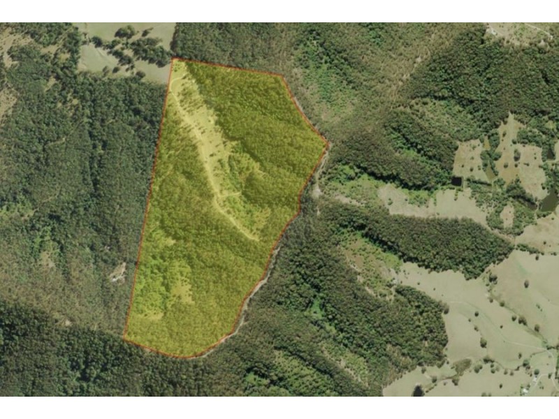 225 South Arm Road, South Arm NSW 2449