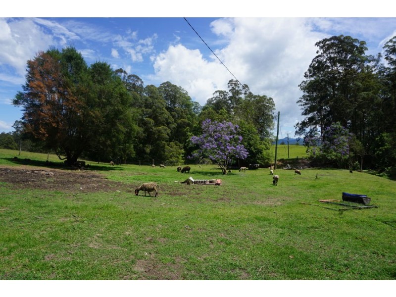 225 South Arm Road, South Arm NSW 2449